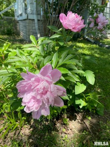 506 S 20TH Street, Murphysboro, IL 62966