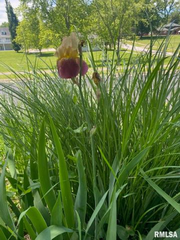 506 S 20TH Street, Murphysboro, IL 62966