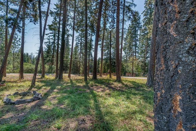 NHN Yenne Point Road, Bigfork, MT 59911 property photo