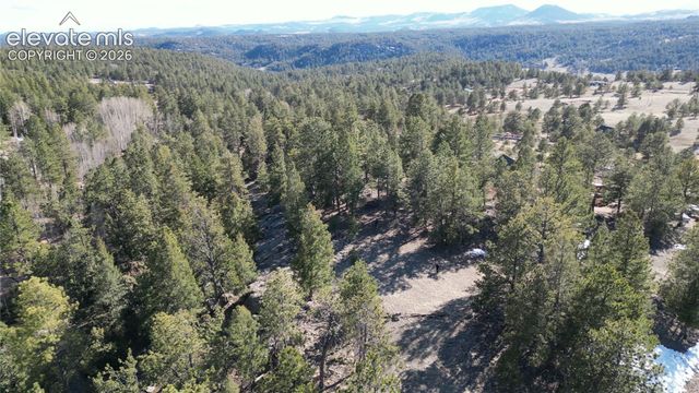 421 Crescent Drive, Florissant, CO 80816