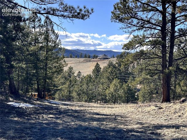 421 Crescent Drive, Florissant, CO 80816