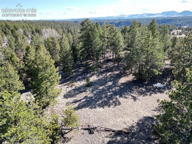 421 Crescent Drive, Florissant, CO 80816
