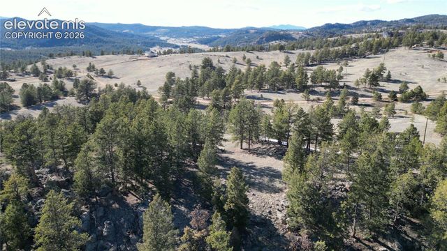 421 Crescent Drive, Florissant, CO 80816