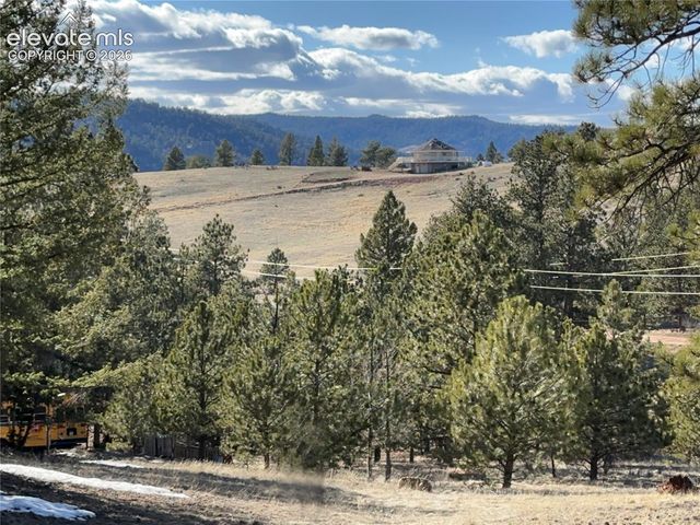421 Crescent Drive, Florissant, CO 80816