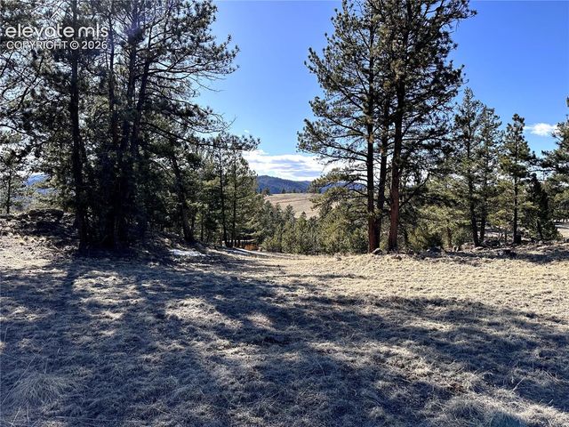 421 Crescent Drive, Florissant, CO 80816