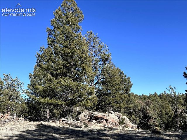 421 Crescent Drive, Florissant, CO 80816
