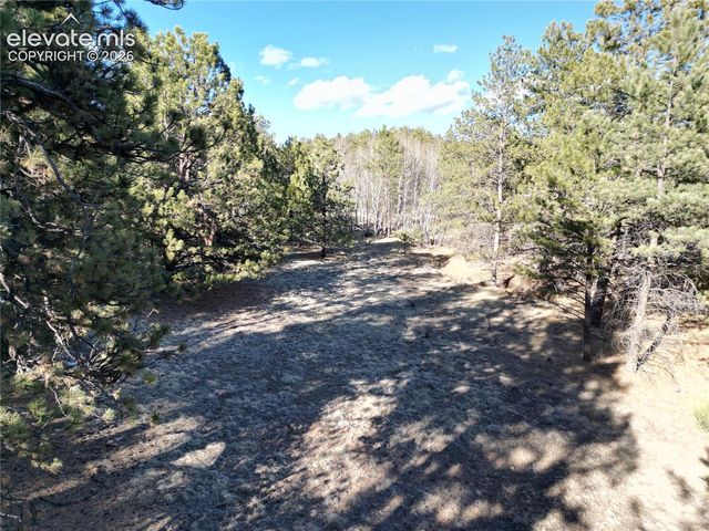 421 Crescent Drive, Florissant, CO 80816