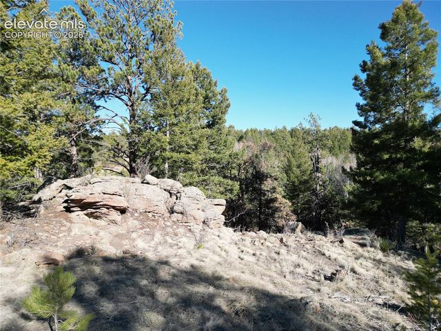 421 Crescent Drive, Florissant, CO 80816