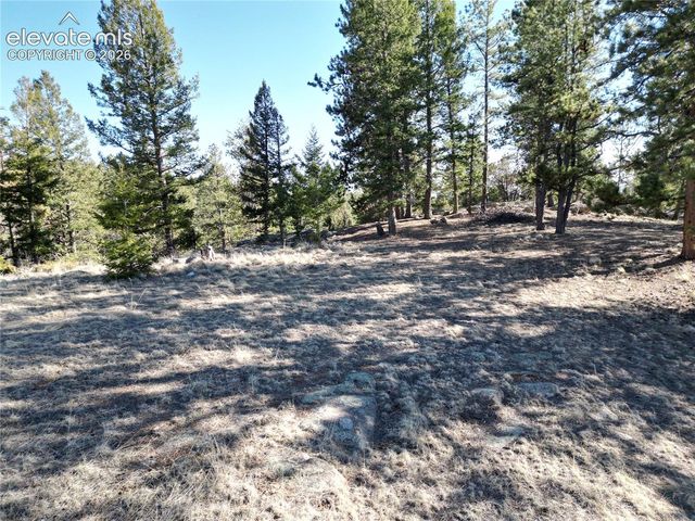 421 Crescent Drive, Florissant, CO 80816