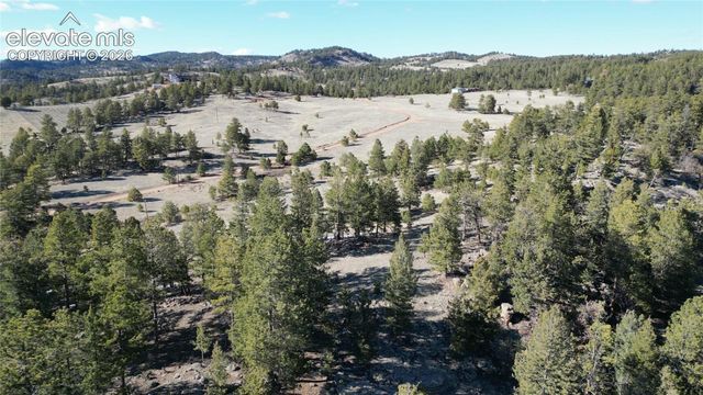421 Crescent Drive, Florissant, CO 80816