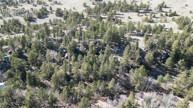 421 Crescent Drive, Florissant, CO 80816