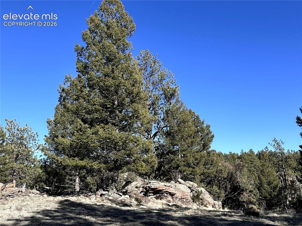 421 Crescent Drive, Florissant, CO 80816 — photo 4