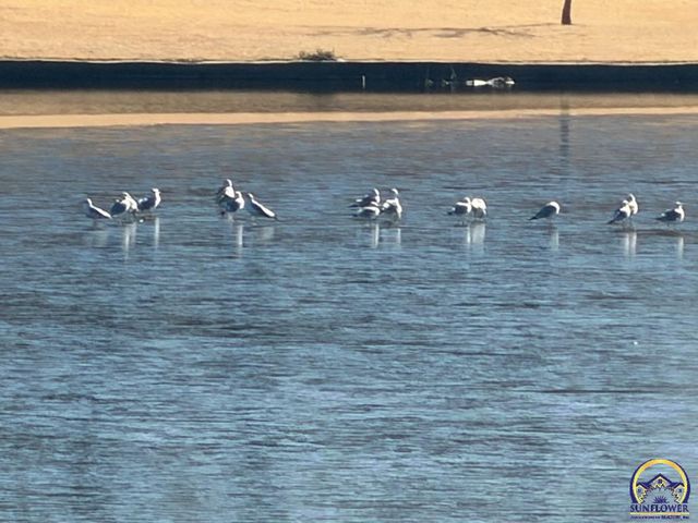 7 Lakeshore DR, Emporia, KS 66801