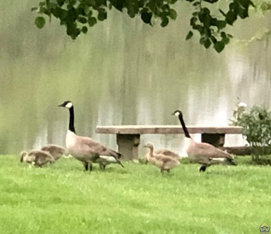 7 Lakeshore DR, Emporia, KS 66801