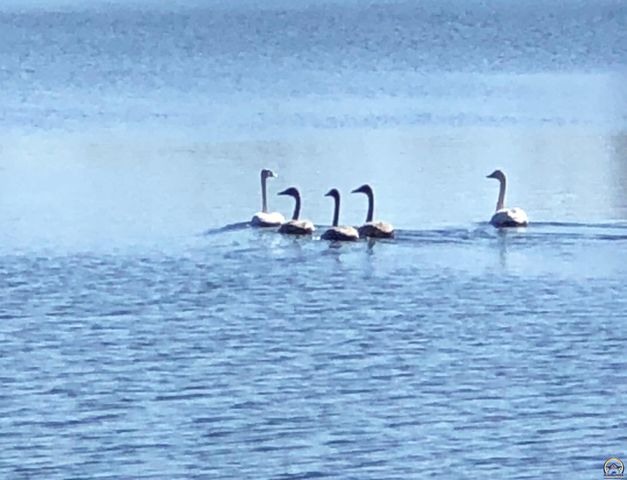 7 Lakeshore DR, Emporia, KS 66801