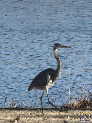 7 Lakeshore DR, Emporia, KS 66801