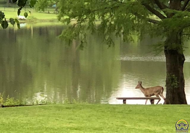 7 Lakeshore DR, Emporia, KS 66801