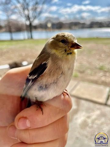 7 Lakeshore DR, Emporia, KS 66801