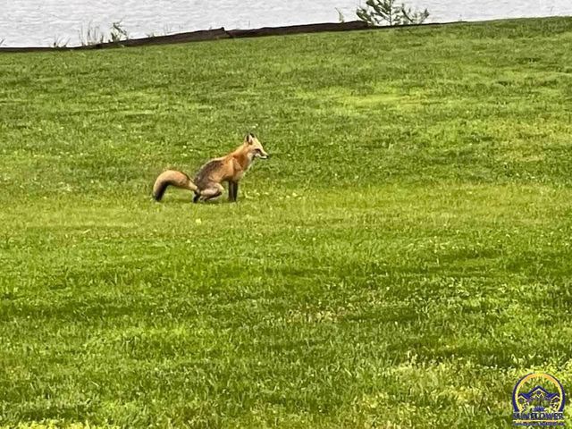 7 Lakeshore DR, Emporia, KS 66801