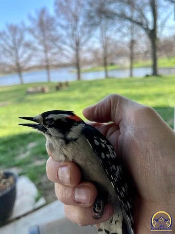 7 Lakeshore DR, Emporia, KS 66801