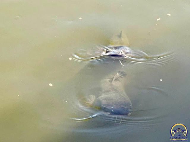 7 Lakeshore DR, Emporia, KS 66801