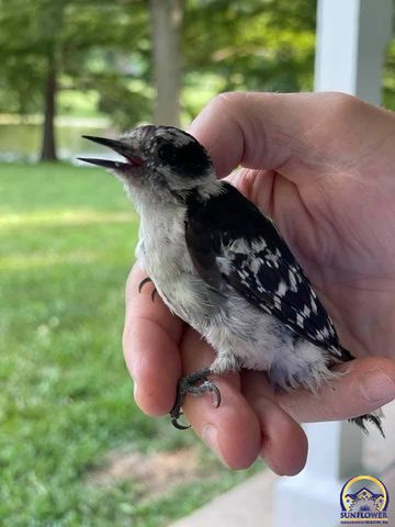 7 Lakeshore DR, Emporia, KS 66801