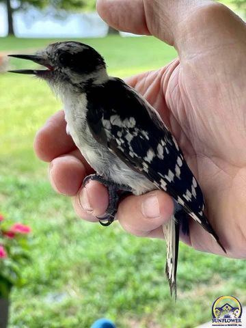 7 Lakeshore DR, Emporia, KS 66801