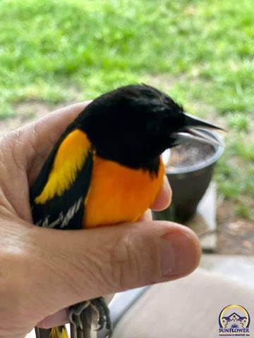 7 Lakeshore DR, Emporia, KS 66801