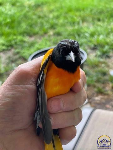 7 Lakeshore DR, Emporia, KS 66801