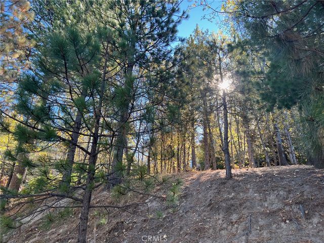 82 Pixie, Running Springs, CA 92382