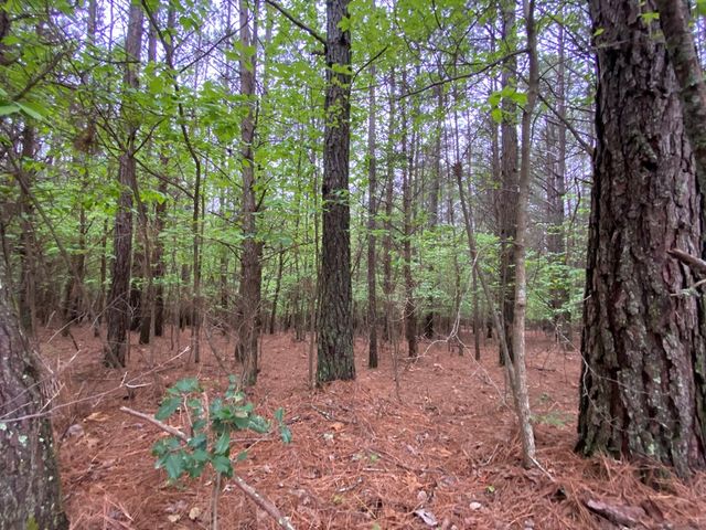 0 Mull Drive, Mineral Bluff, GA 30559