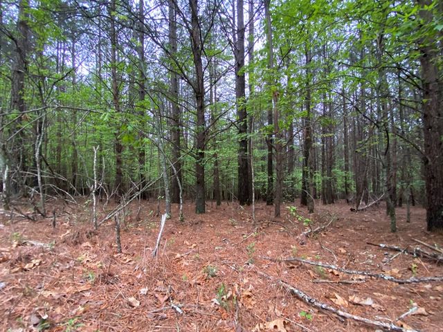 0 Mull Drive, Mineral Bluff, GA 30559