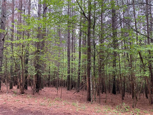 0 Mull Drive, Mineral Bluff, GA 30559