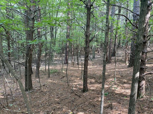 0 Mull Drive, Mineral Bluff, GA 30559