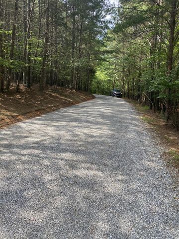 0 Mull Drive, Mineral Bluff, GA 30559