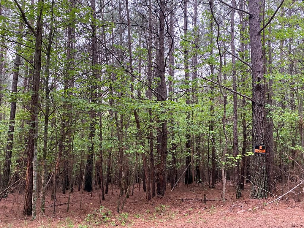 0 Mull Drive, Mineral Bluff, GA 30559