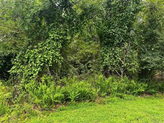 Lot 69 Cobalt Bay Drive, Shirley, AR 72153