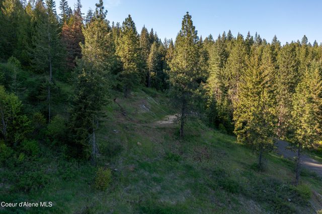 NNA W Biggs Rd. Lot 1, Rathdrum, ID 83858