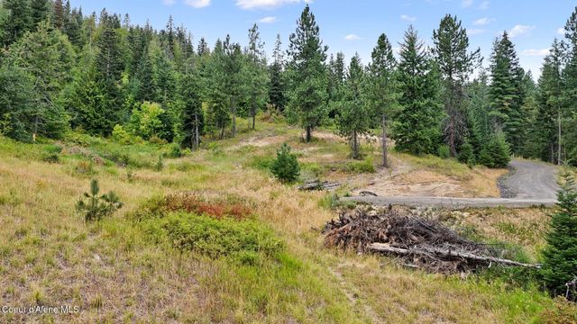 NNA W Biggs Rd. Lot 1, Rathdrum, ID 83858