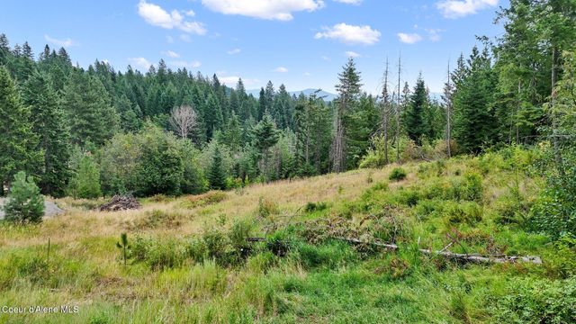 NNA W Biggs Rd. Lot 1, Rathdrum, ID 83858