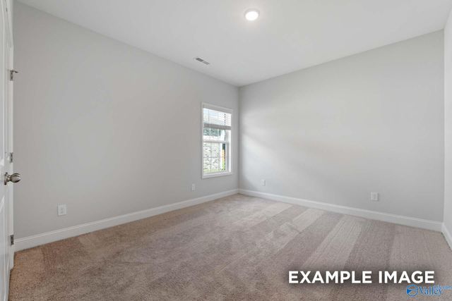 100 Goodwood Lane, Toney, AL 35773