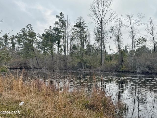 2496 Eagles Landing Drive, Marianna, FL 32446