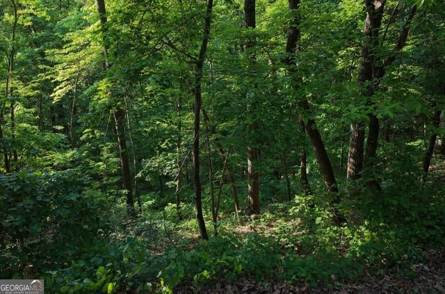 115 Carters Overlook, Ranger, GA 30734