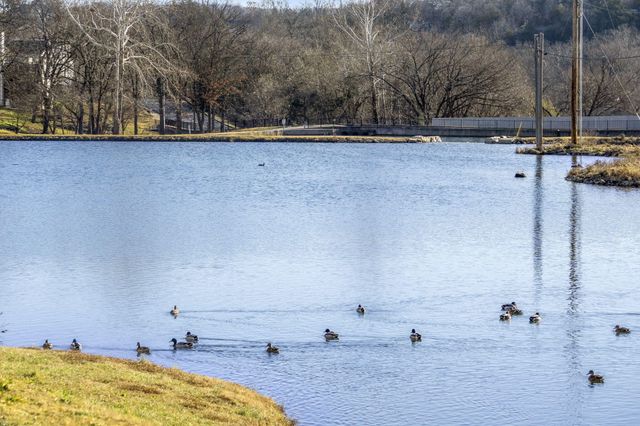 31 Golfshores Drive 10, Branson, MO 65616