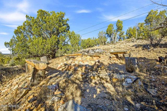 1864 LITTLE DOE Trail, Heber, AZ 85928