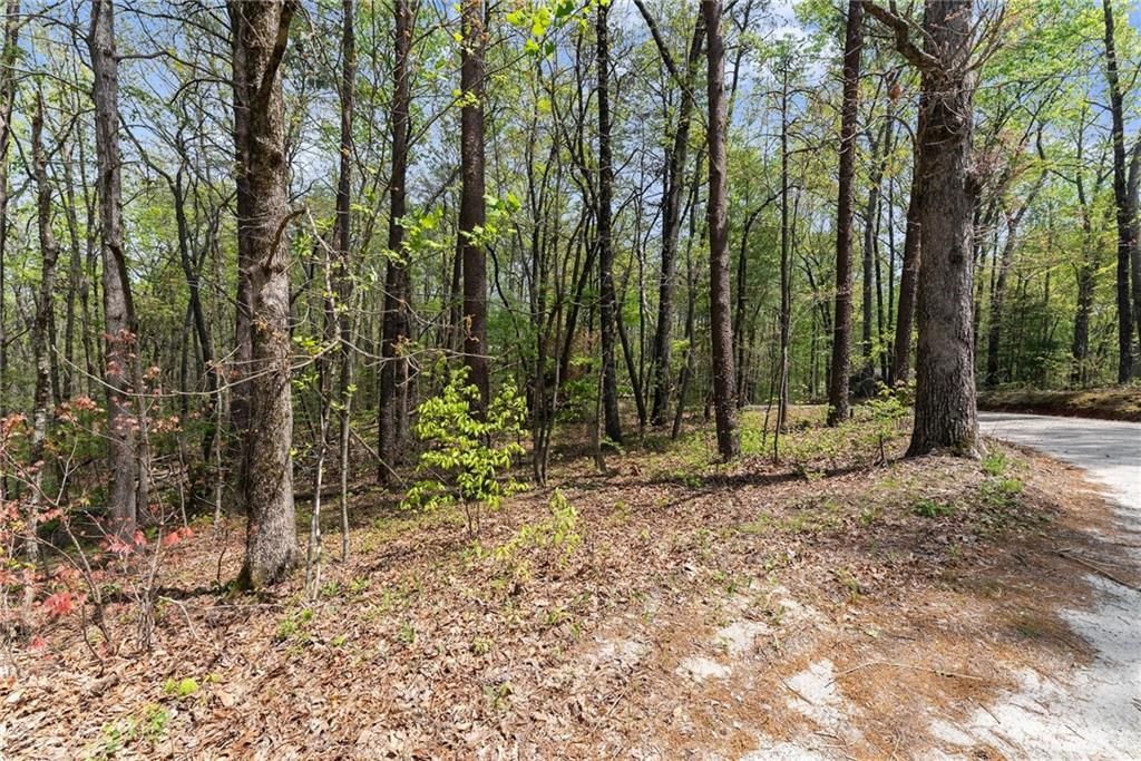 0 Ridge Road, Dawsonville, GA 30534