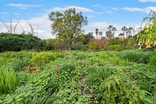 2362 Lone Oak Lane, Vista, CA 92084