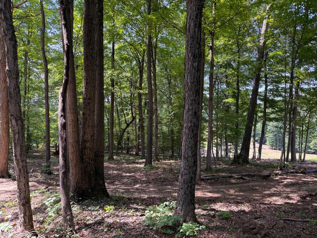 0 Wolf Hill Road, (Tract 2 Wolf Hill), Mcarthur, OH 45651