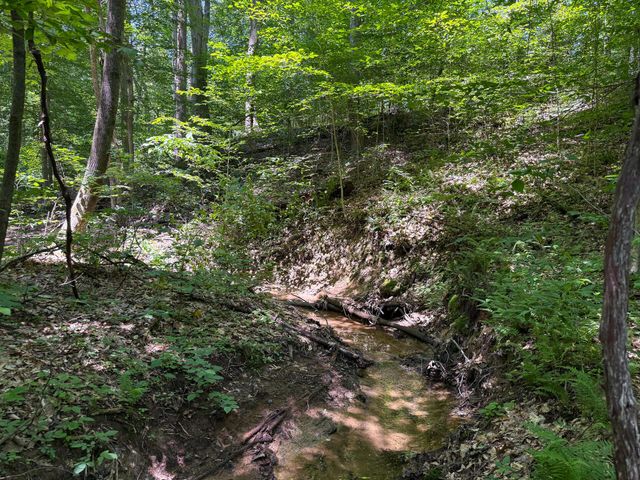 0 Wolf Hill Road, (Tract 2 Wolf Hill), Mcarthur, OH 45651