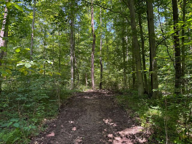 0 Wolf Hill Road, (Tract 2 Wolf Hill), Mcarthur, OH 45651